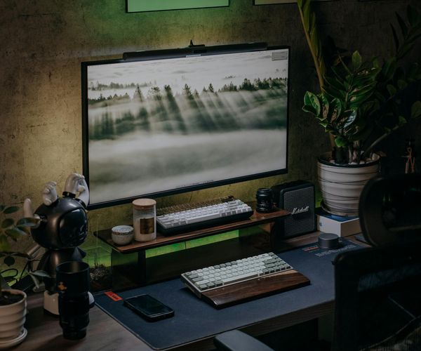 Minimalist office setup with plants and soft glowing blue lights